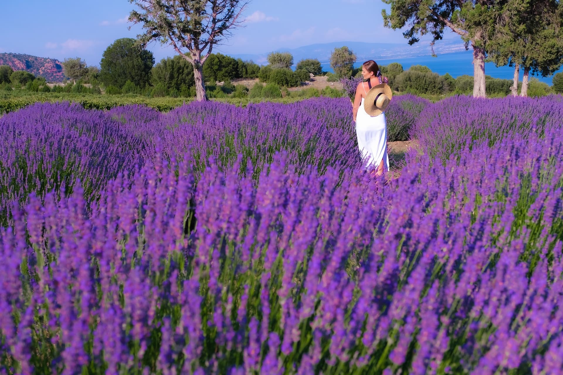 Lavanta Rüyaları & Salda Büyüsü - Private Tour Antalya Alanya