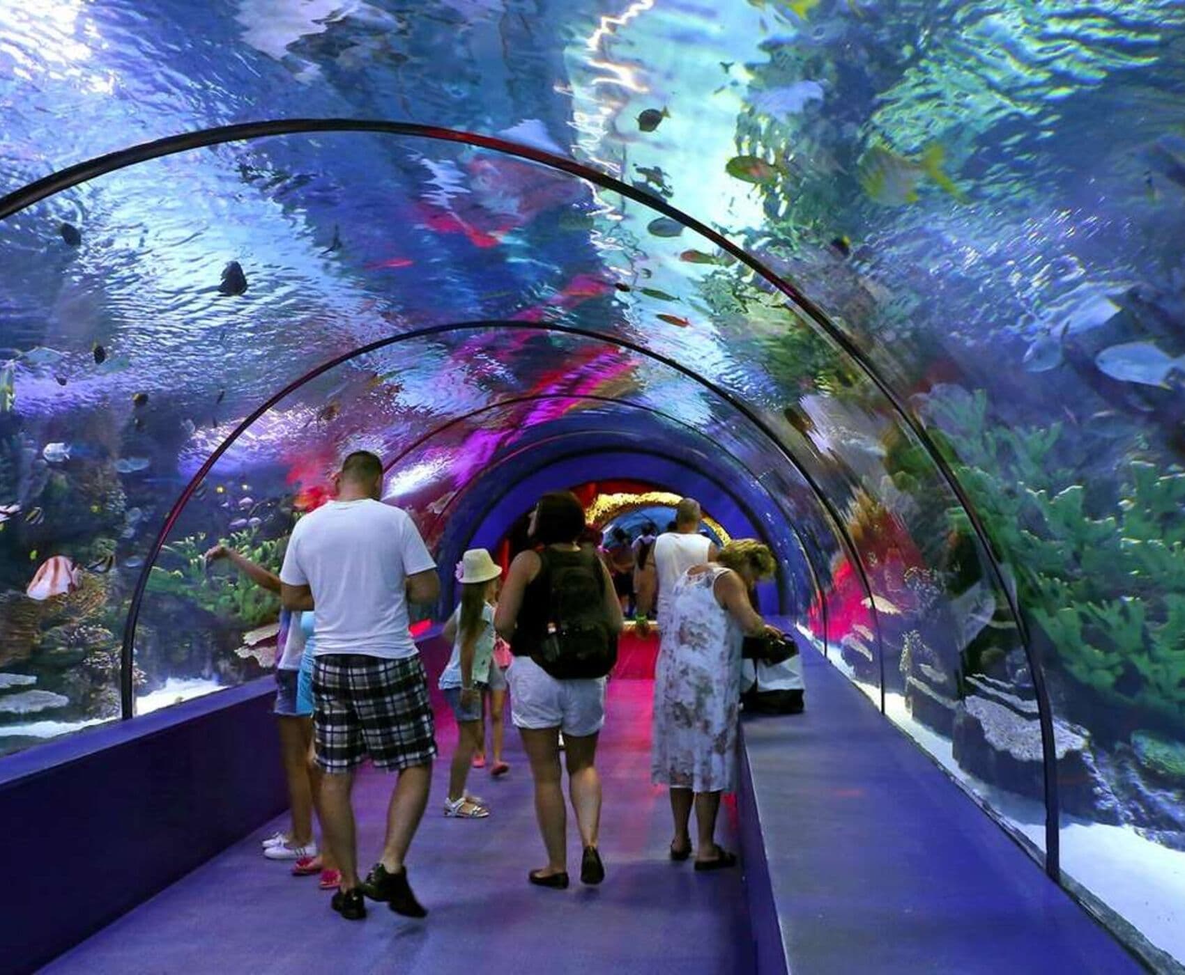 Antalya Teleferik ve Akvaryum Turu - Private Tour Antalya Alanya